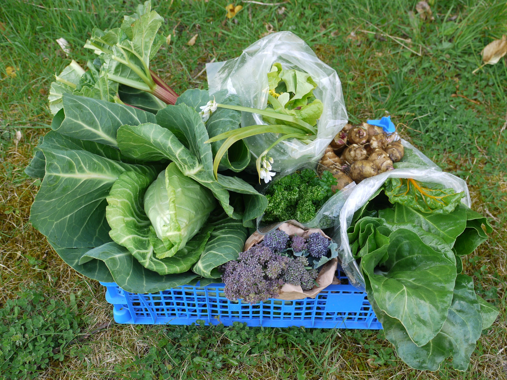 Vegbox Medium (6 items)